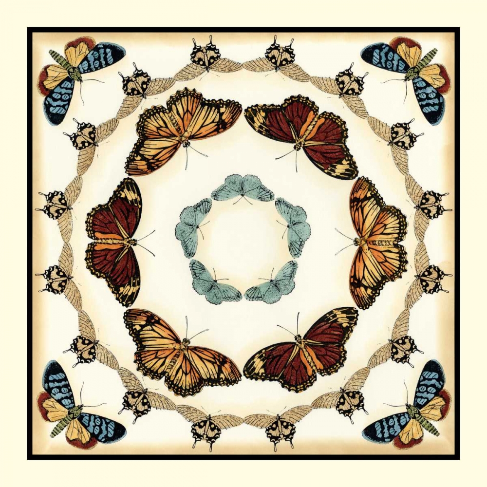 Butterfly Collector II