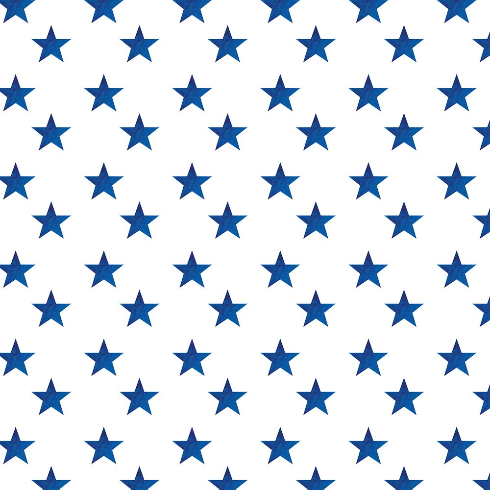 Sizzlin Fourth of July Collection H