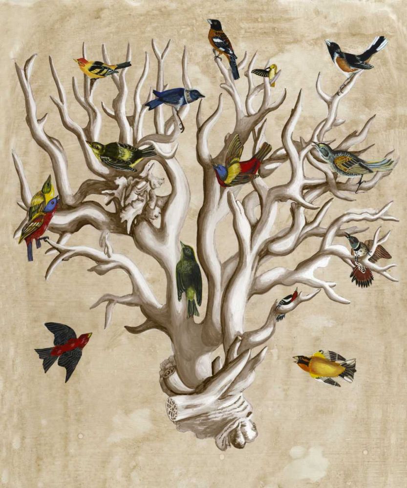 The Ornithologists Dream I