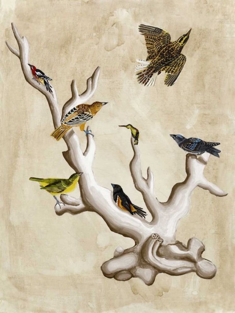 The Ornithologists Dream III