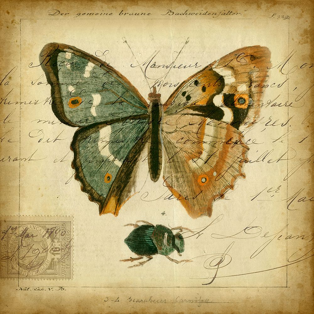 Custom Postscript Butterfly I (GC)