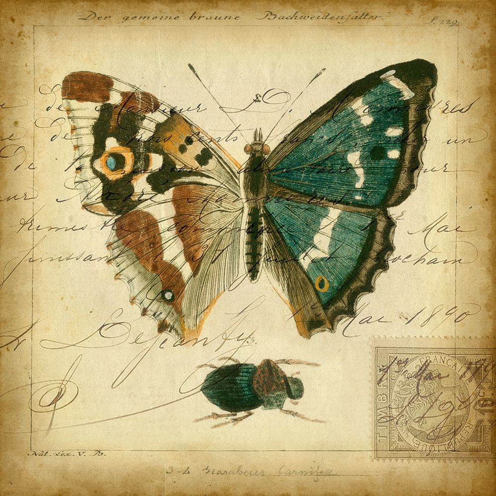 Custom Postscript Butterfly II (GC)