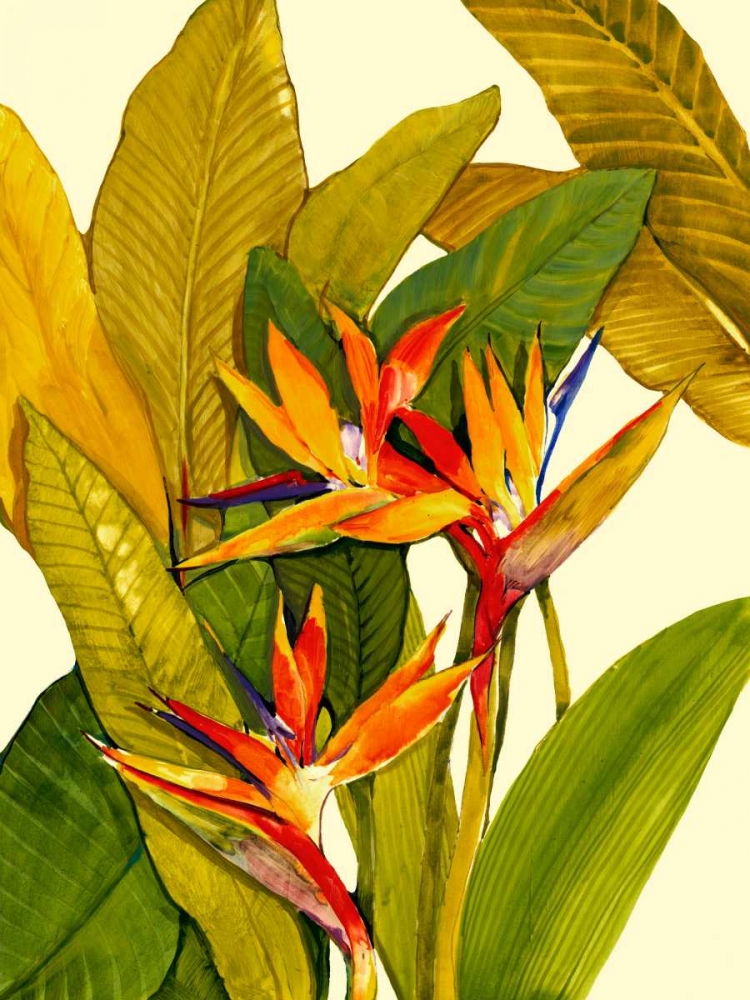 Tropical Bird of Paradise