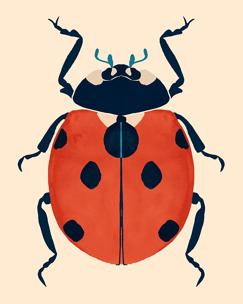 Beetle Bug V