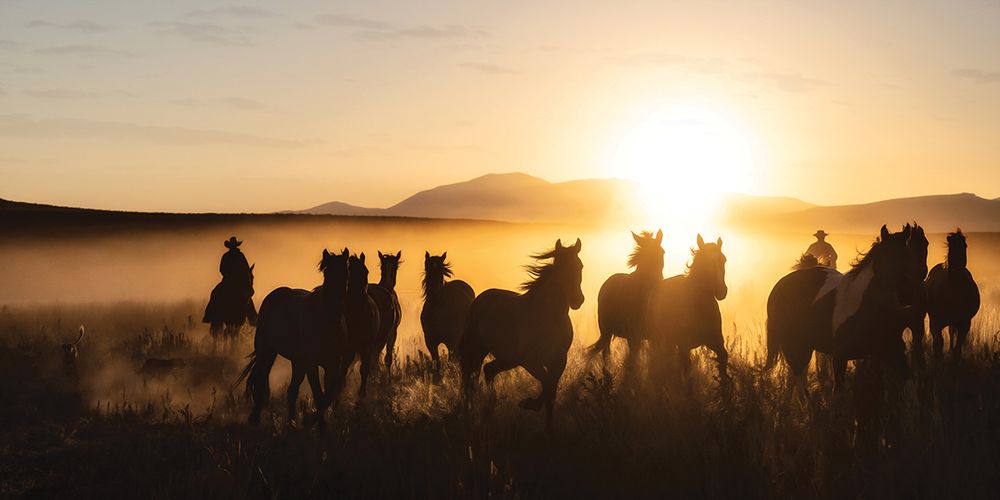 Ranch Horse Jingle