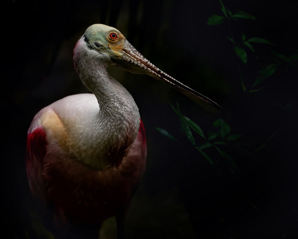 Prehistoric