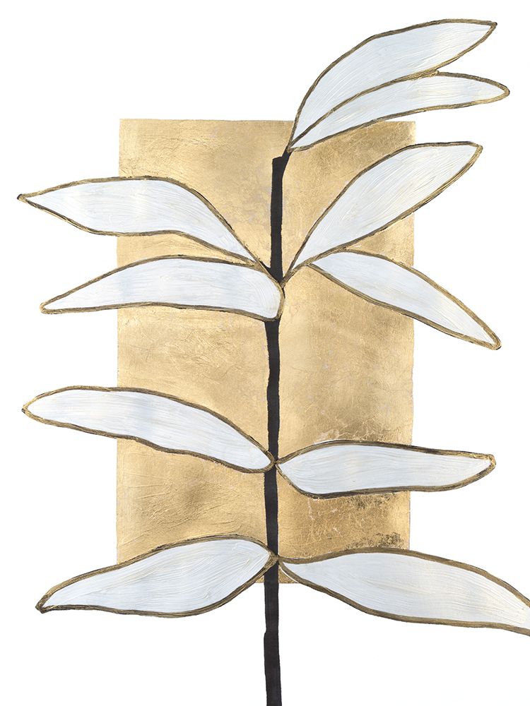 Vernation II