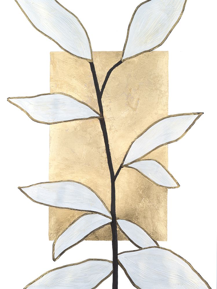 Vernation III