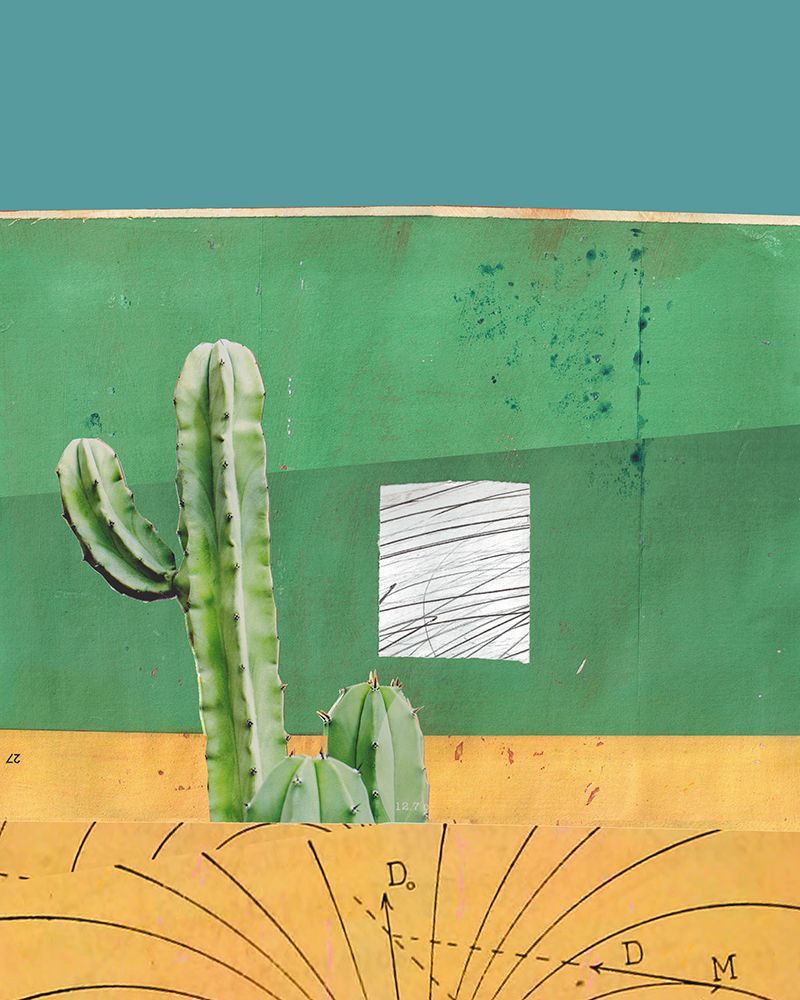 Oaxaca Cactus I