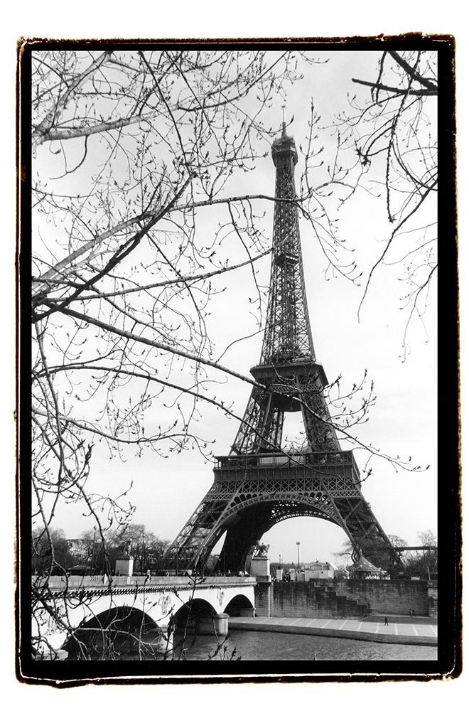 Eiffel Tower Along The Seine River