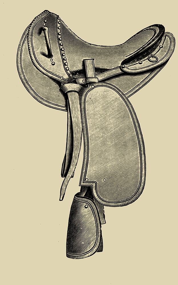 Antique Saddle I