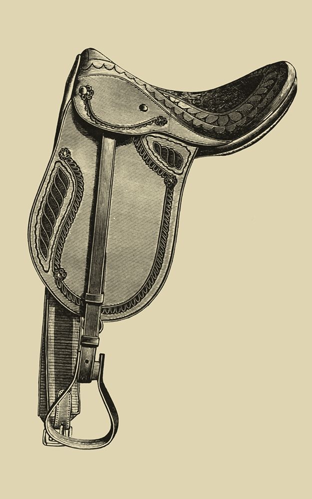 Antique Saddle II