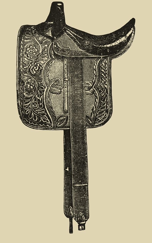 Antique Saddle III