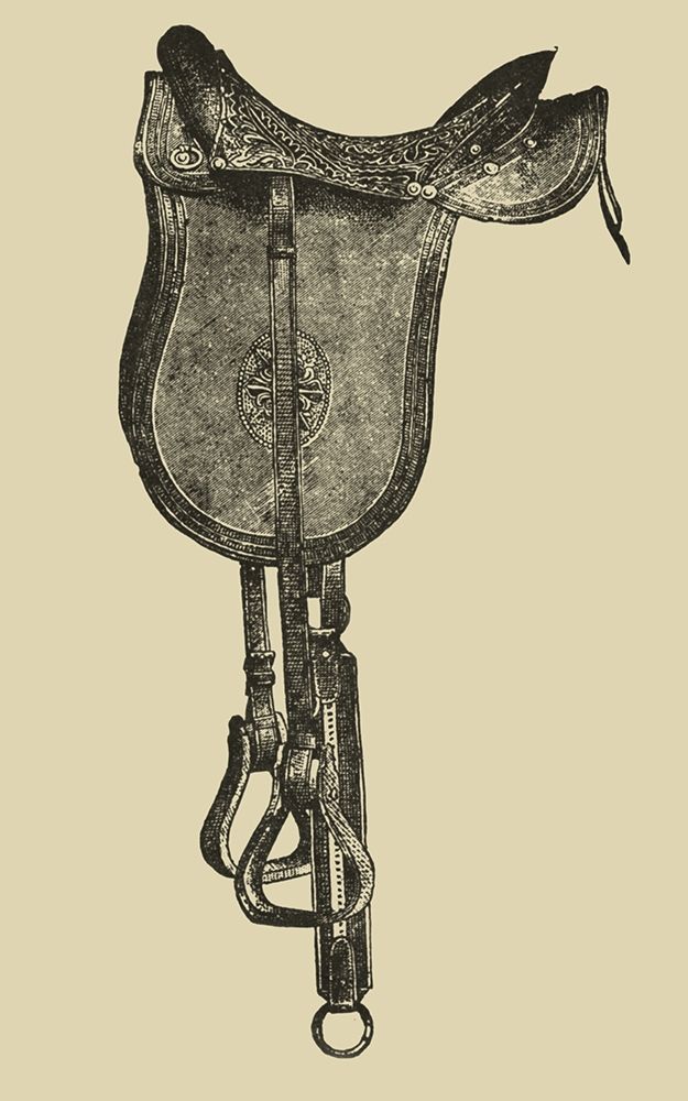 Antique Saddle IV