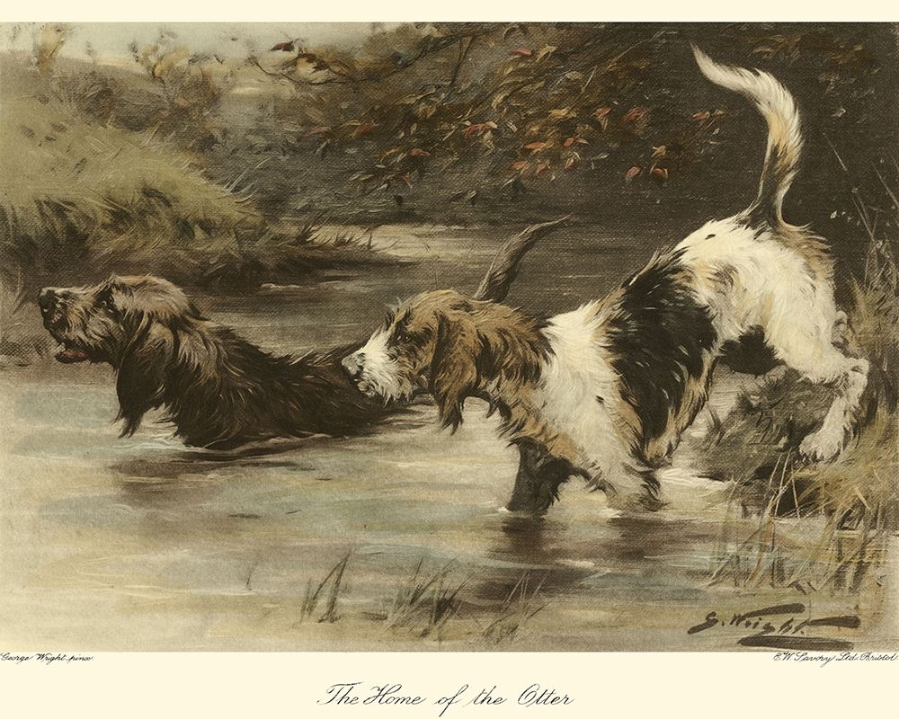 The Home of the Otter