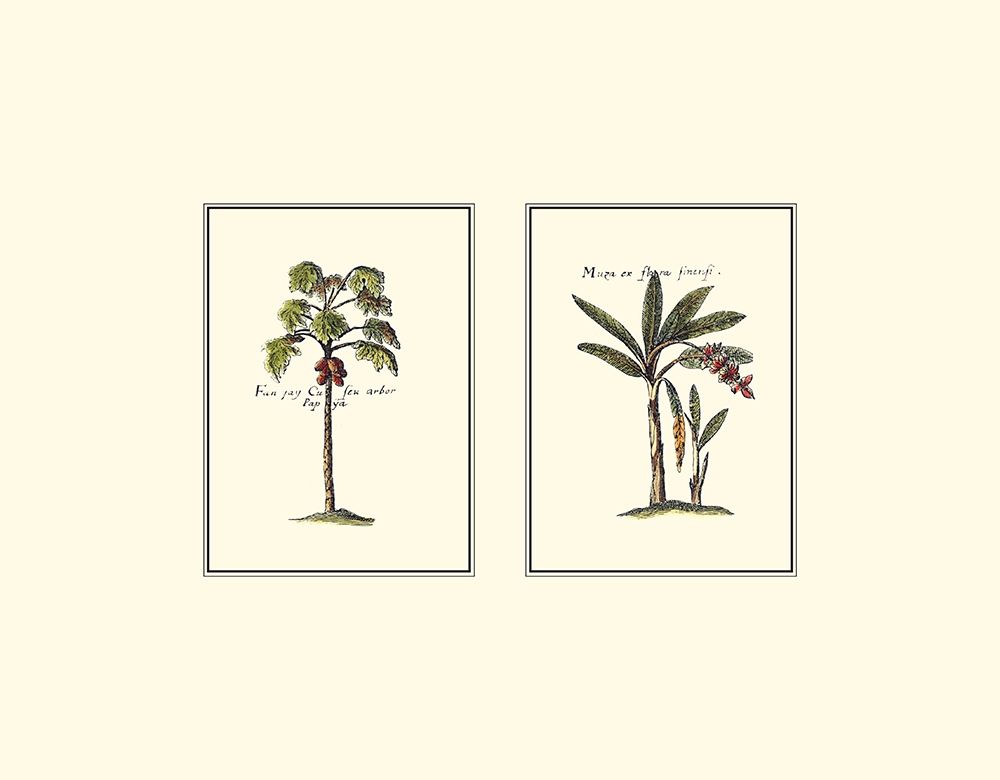 Miniature Palm I