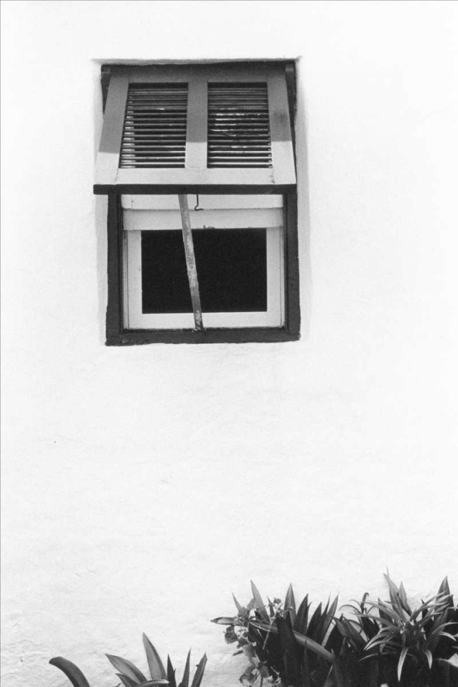 Bermuda Architecture IV