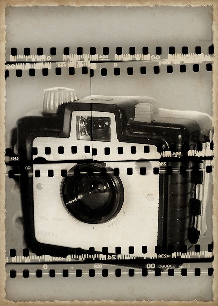 Camera Obscura II