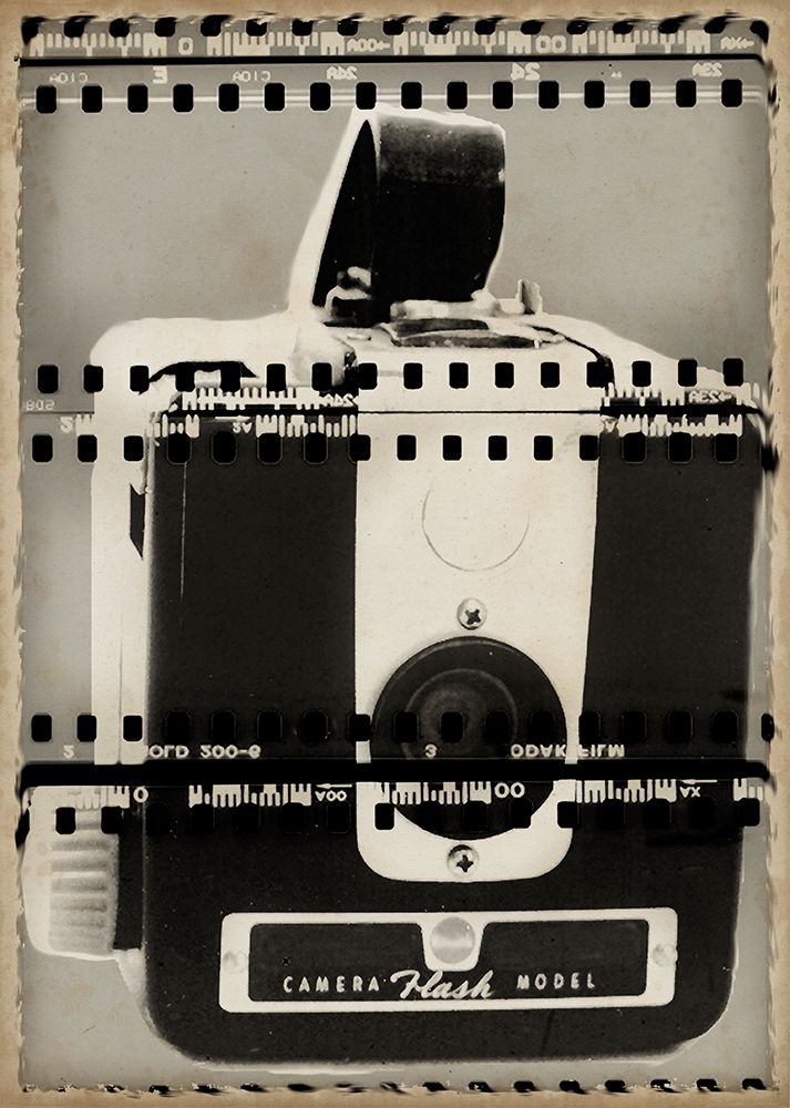 Camera Obscura III