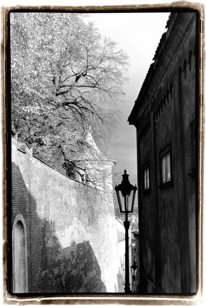 Glimpses of Prague II