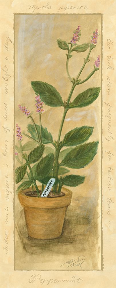 Peppermint
