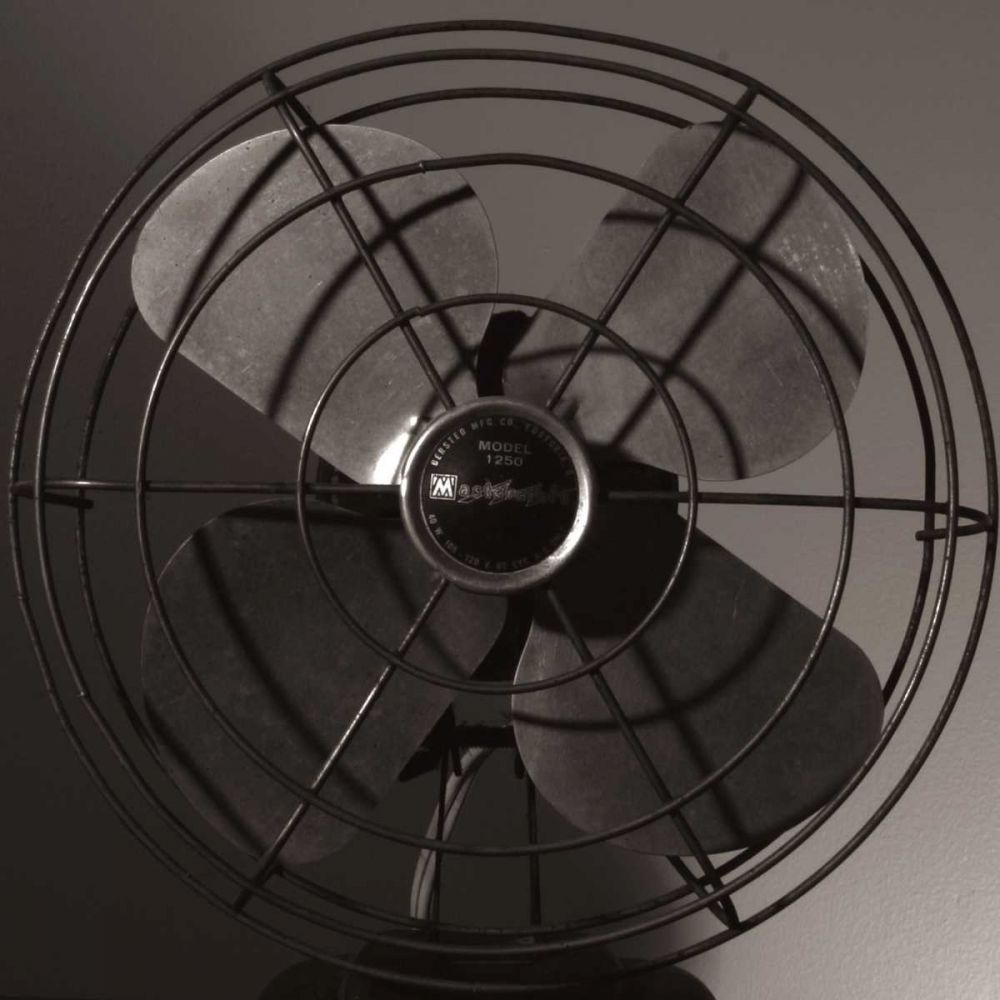 Vintage Fan Study IV