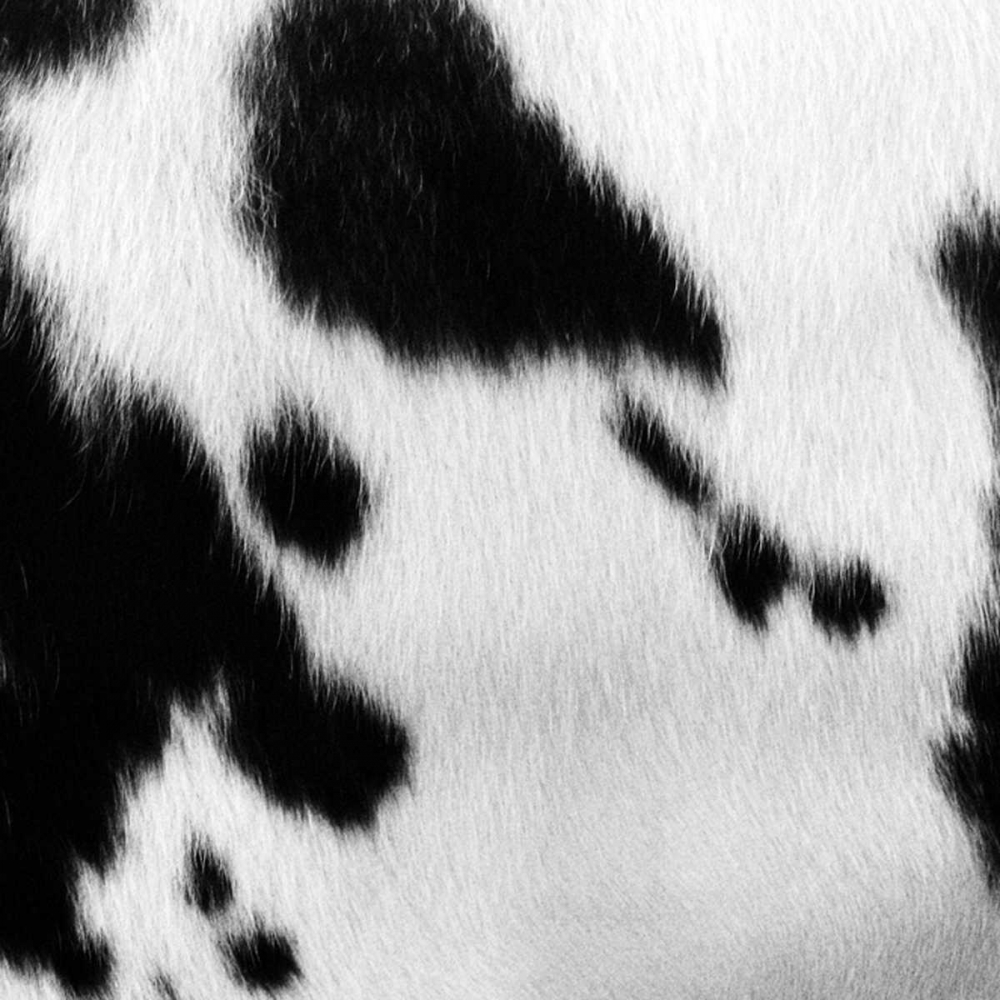 Animal Instinct VI