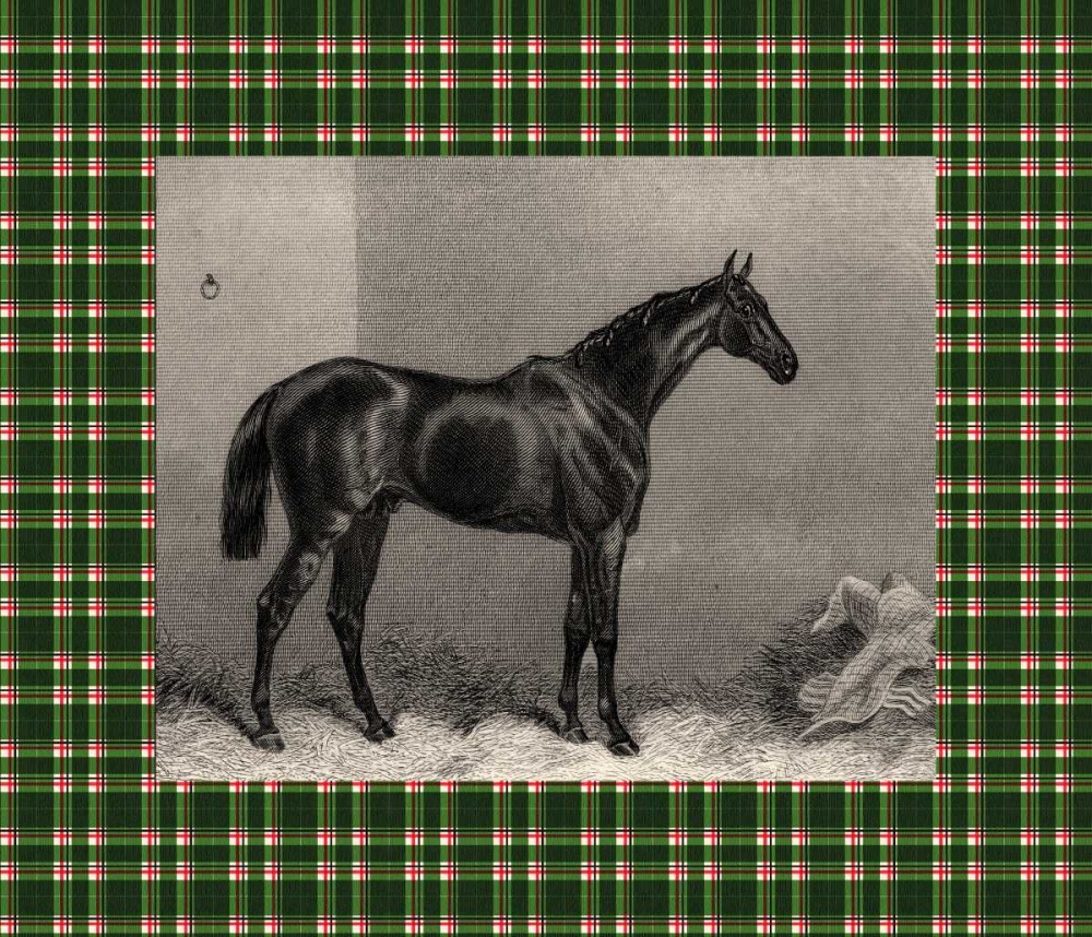Equestrian Plaid I