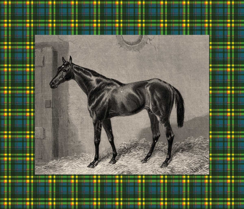 Equestrian Plaid II