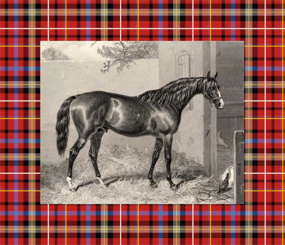 Equestrian Plaid III