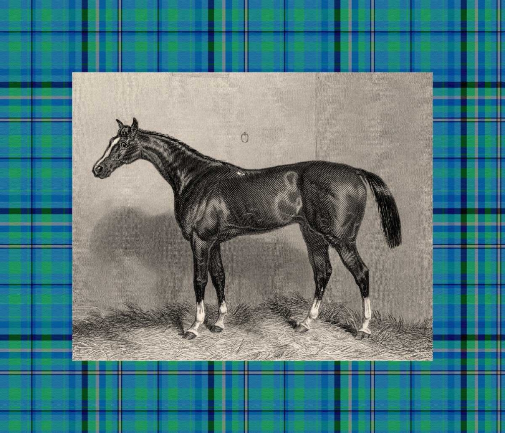 Equestrian Plaid IV