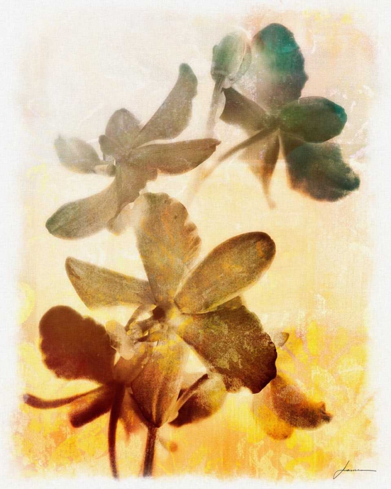 Brocade Garden III