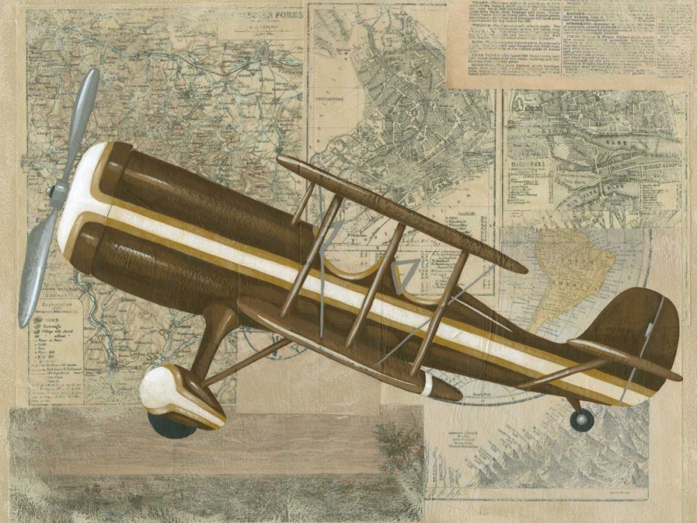 Tour by Plane I