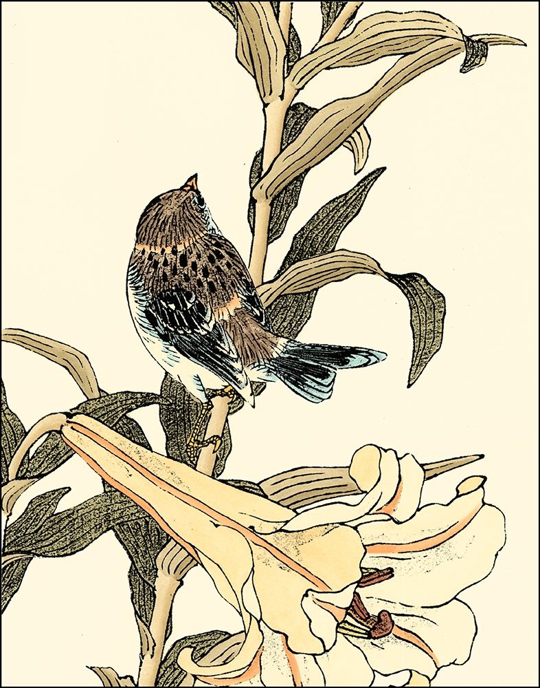 Oriental Bird on Branch II