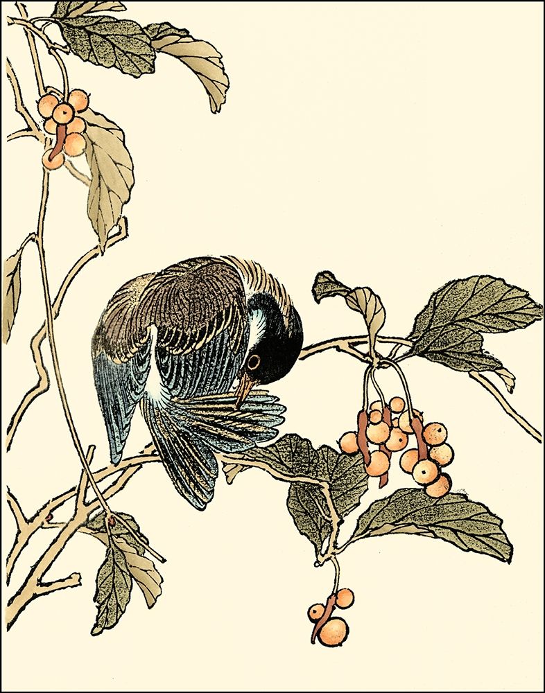 Oriental Bird on Branch IV