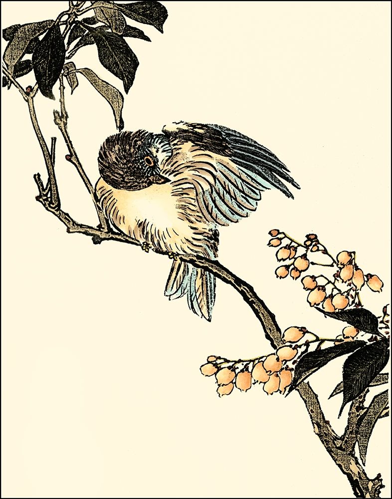 Oriental Bird on Branch V