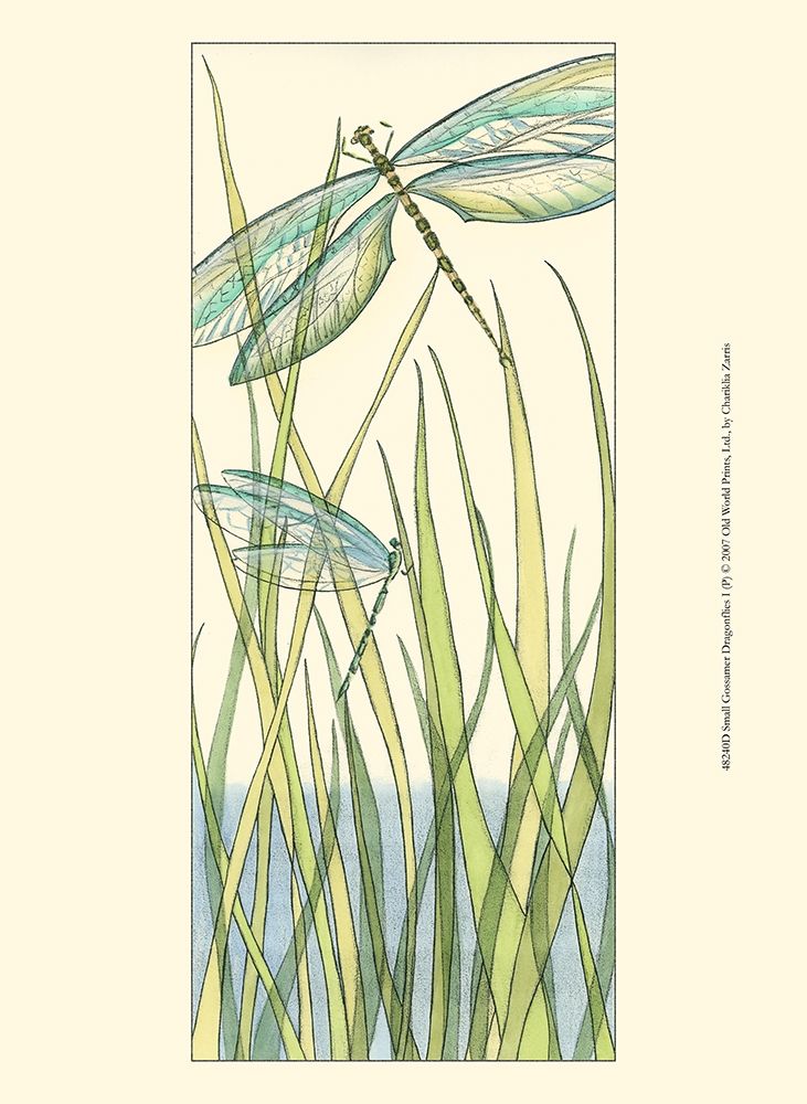 Small Gossamer Dragonflies I