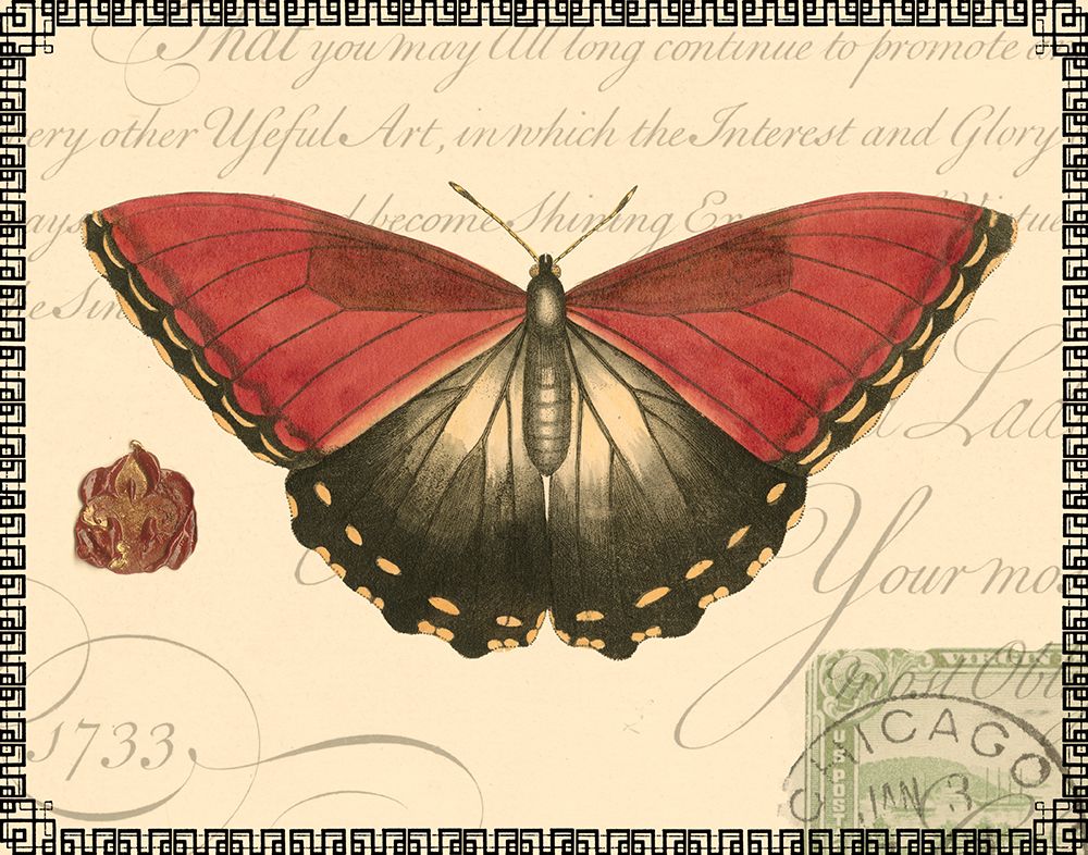 Butterfly Prose I