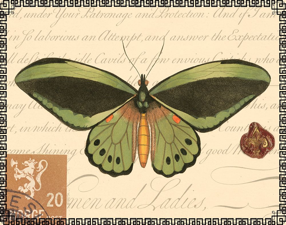 Butterfly Prose II
