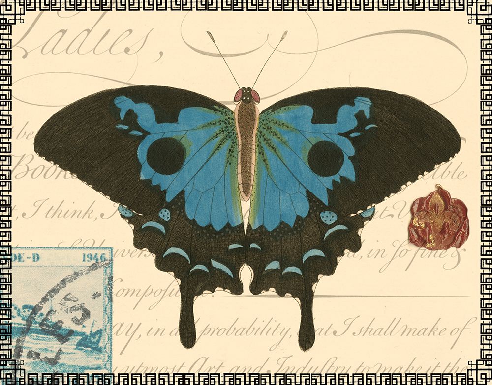 Butterfly Prose III