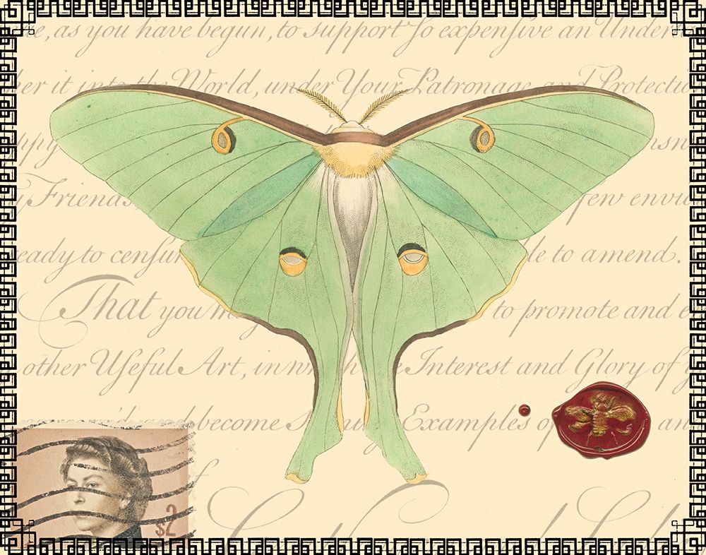 Butterfly Prose VI
