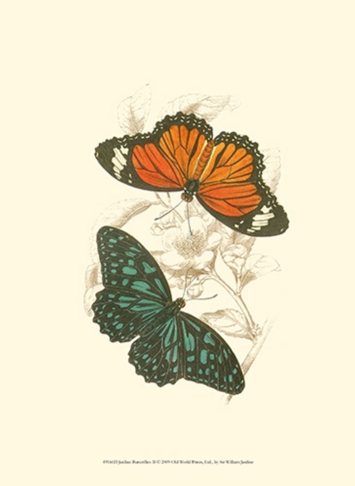 Jardine Butterflies II