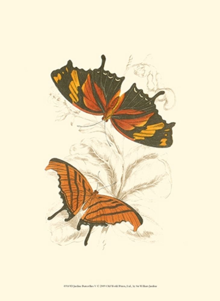 Jardine Butterflies V