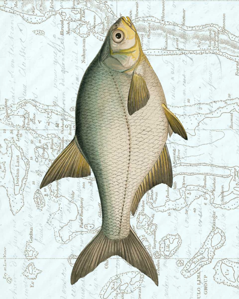 Freshwater I