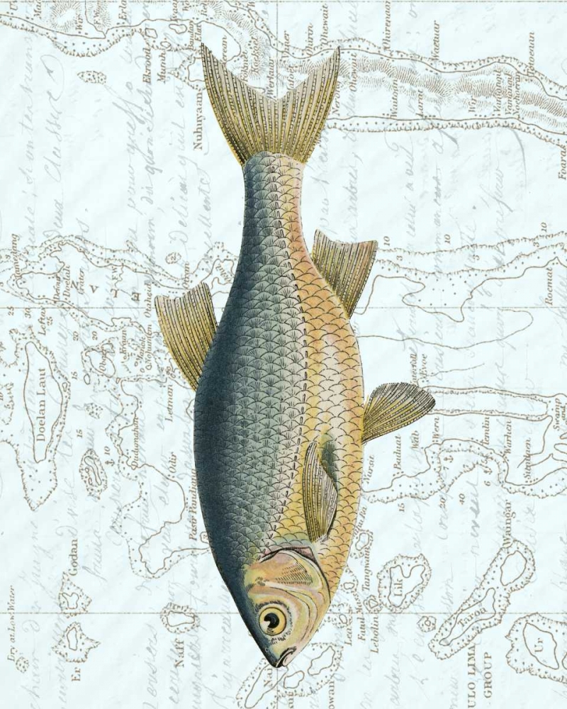 Freshwater II
