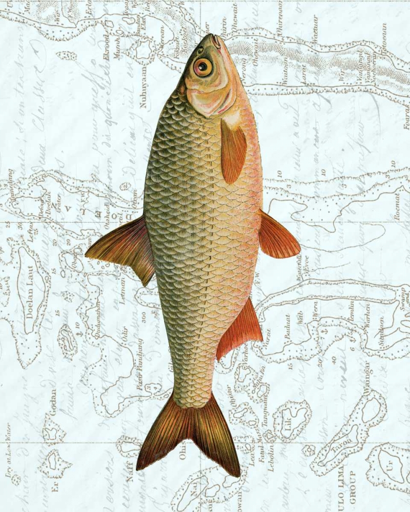 Freshwater III
