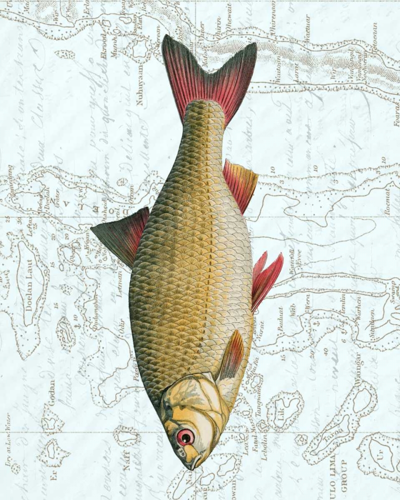 Freshwater IV