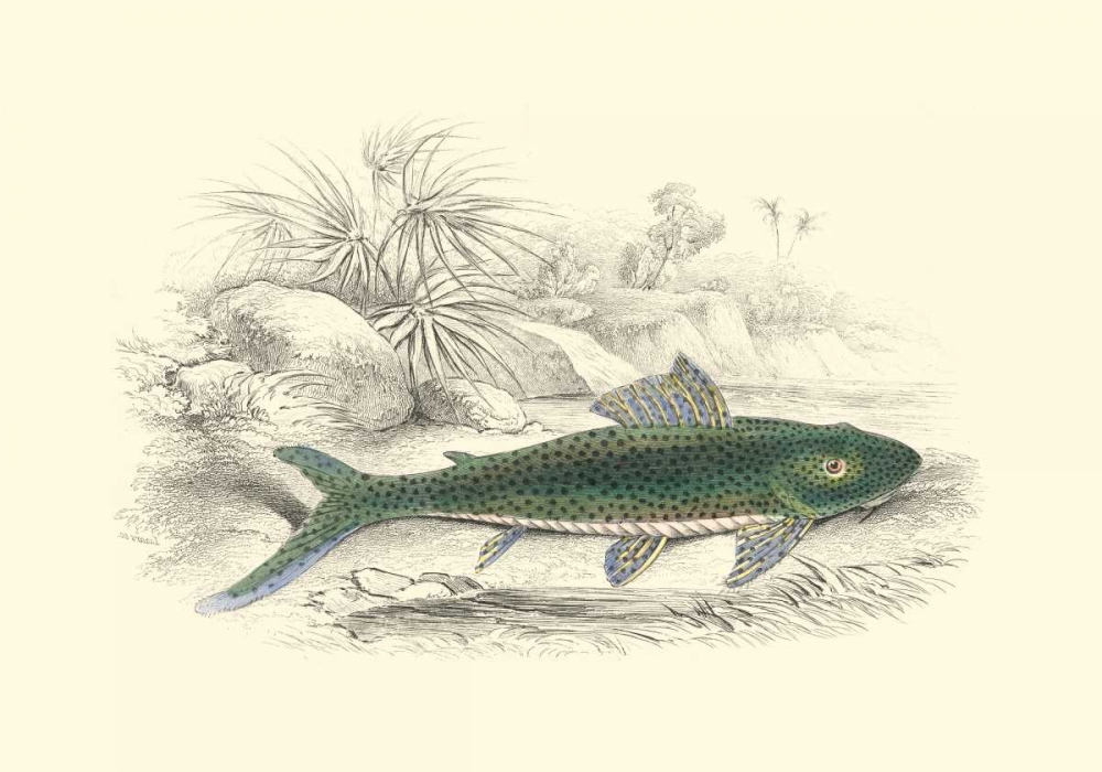 Lizars Game Fish I