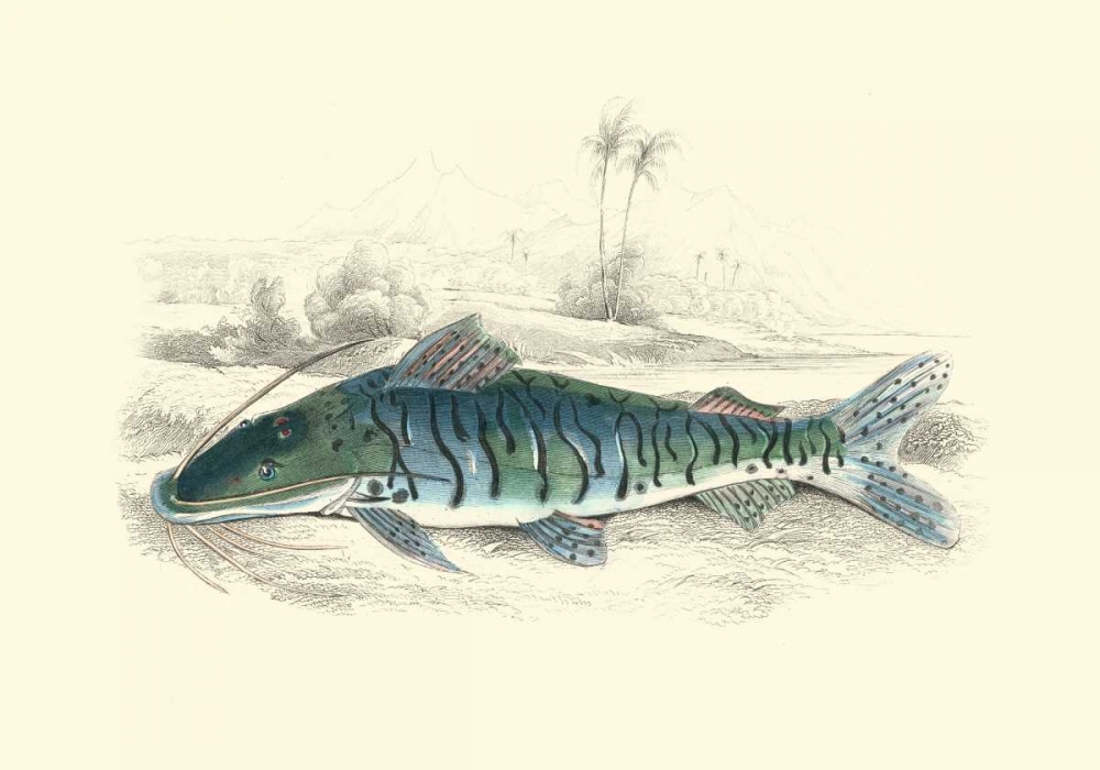 Lizars Game Fish II