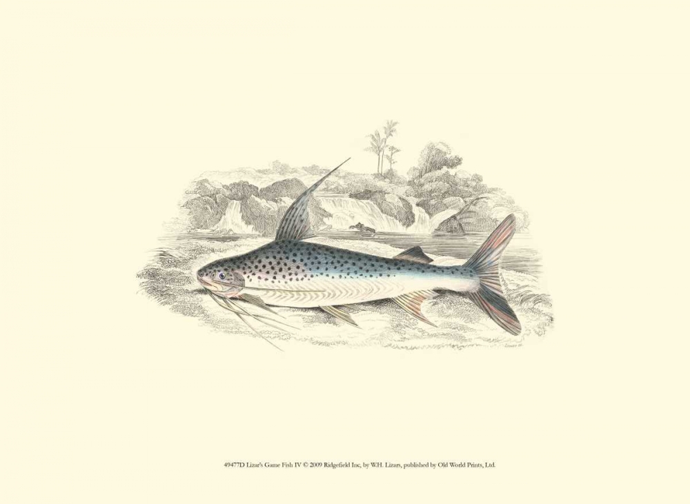Lizars Game Fish IV